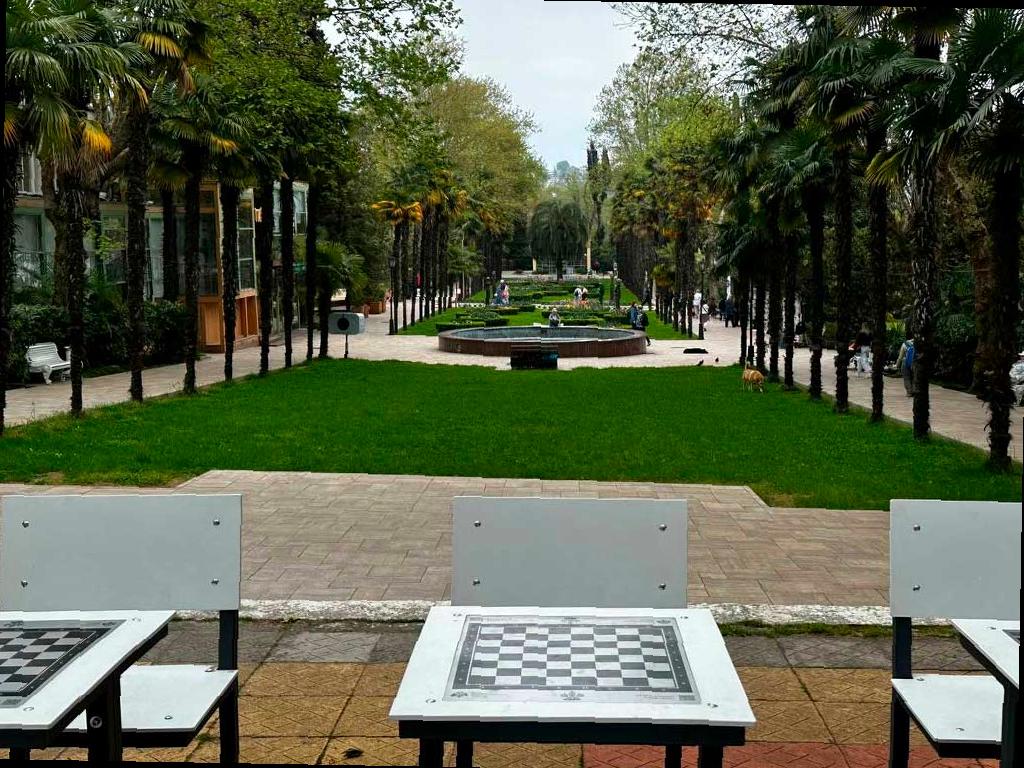 Шахматная гостиная в сочинской «Ривьере» переместила свою локацию