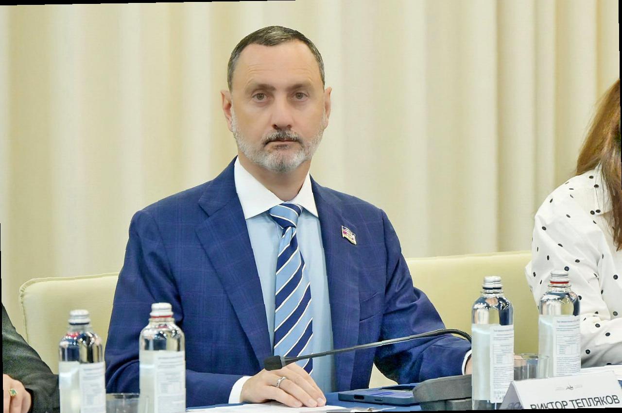 Участие Виктора Теплякова в Форуме «Петербургский диалог»