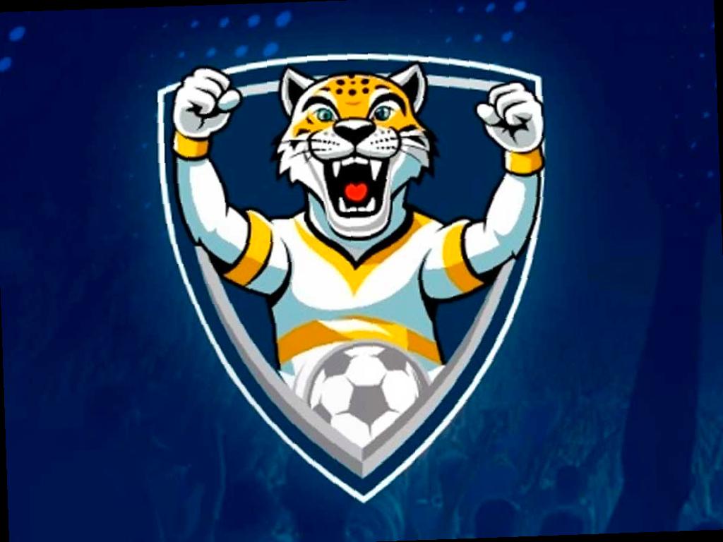 Футбольный клуб «Сочи» представил программу лояльности для своих болельщиков. Теперь у поклонников команды есть возможность выполнять различные задания, участвовать в конкурсах и зарабатывать баллы, которые потом можно обменивать на скидки. С помощью баллов можно оплатить до 90% стоимости билетов, абонементов и подарочных сертификатов, а также до 50% стоимости клубной атрибутики.