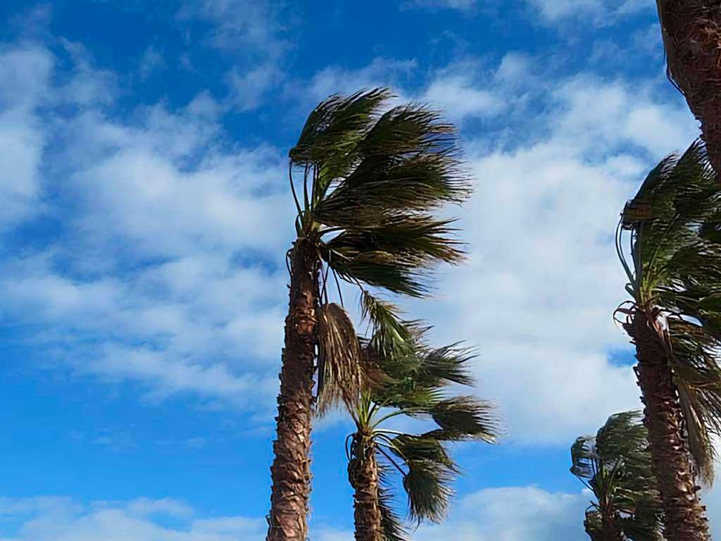 В Сочи ожидается непогода с началом июля