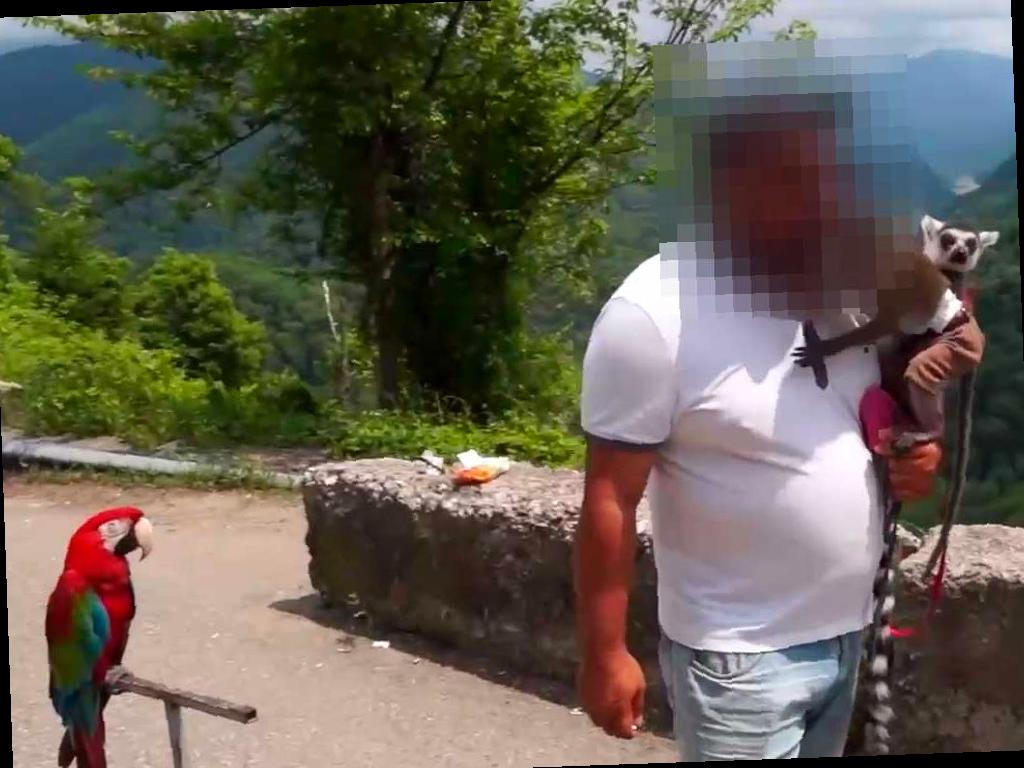 В Сочи изъяли целый зоопарк у фотографов-нарушителей