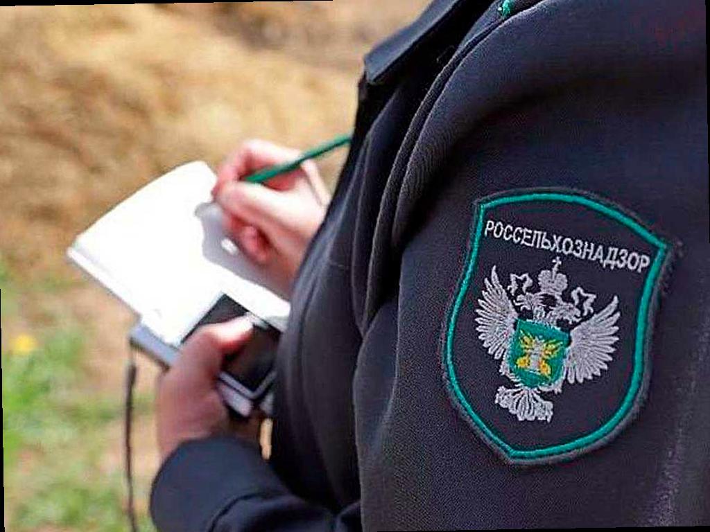 В Адыгее обнаружены 7 зон с опасным сорняком