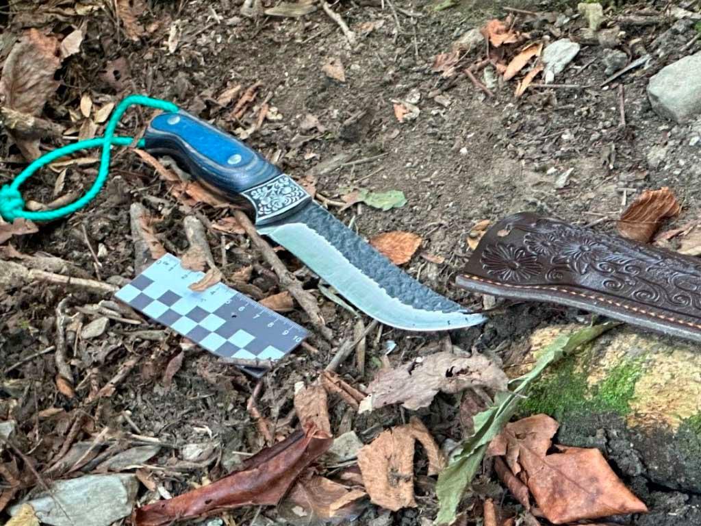 Браконьер убил медведя в Сочинском нацпарке