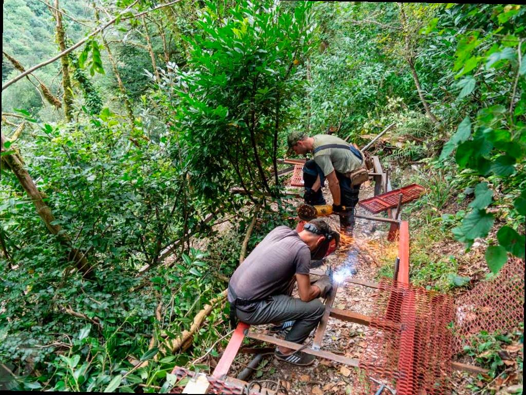 Туристическая тропа в Тисо-самшитовой роще в Сочи будет обновлена