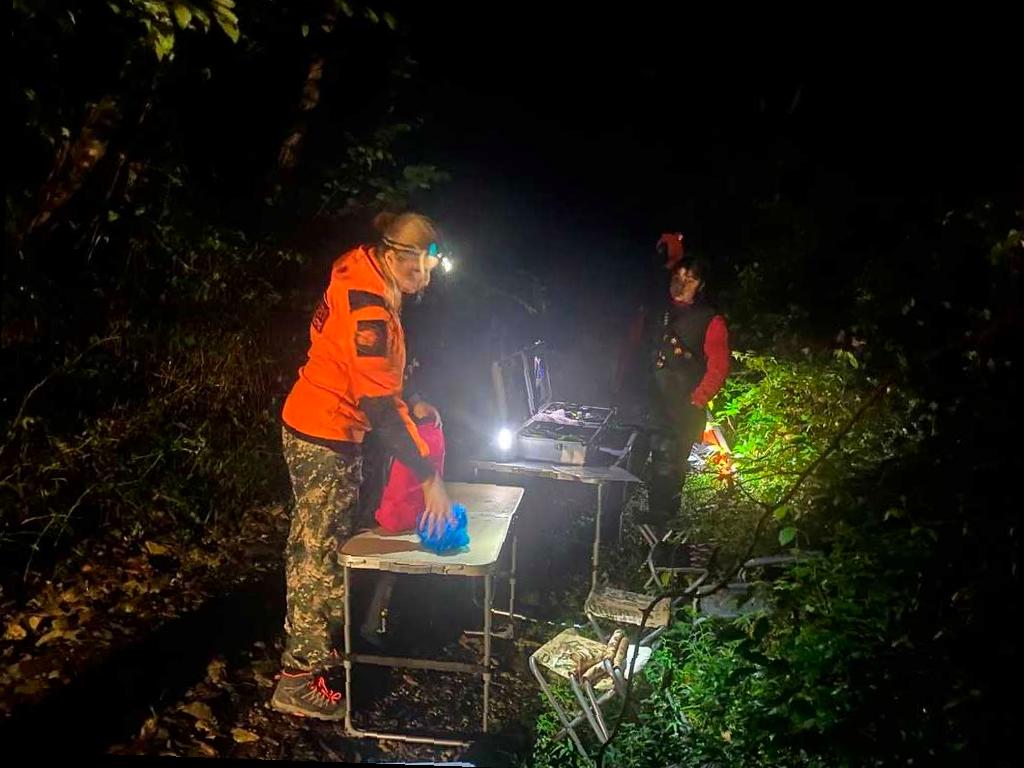 Пропал пенсионер в Сочи: поиски продолжаются