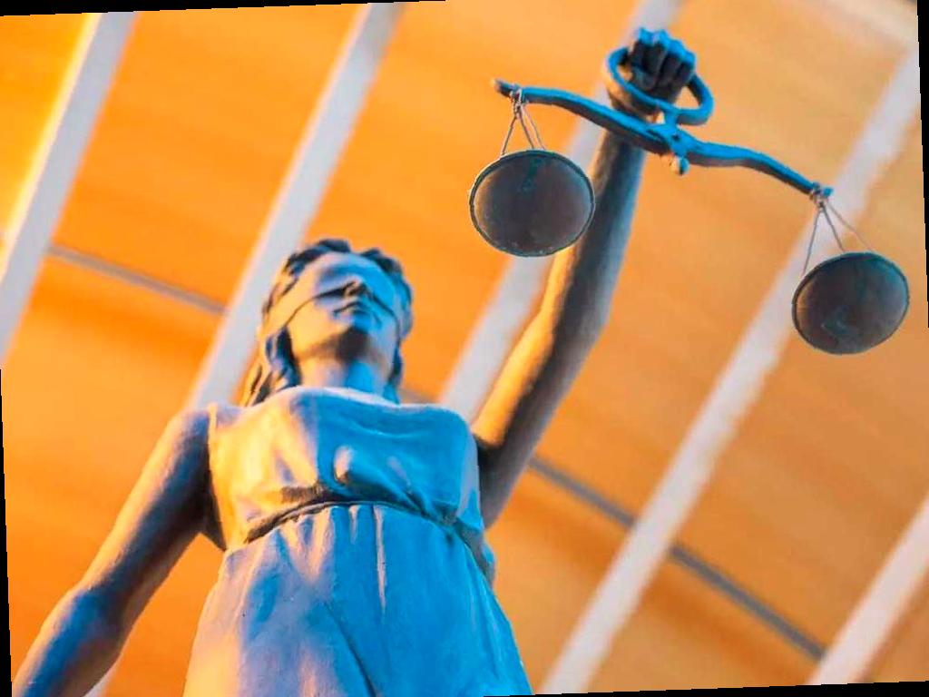 Суд оштрафовал жительницу Сочи на 10 миллионов рублей за вырубку растений на ее участке