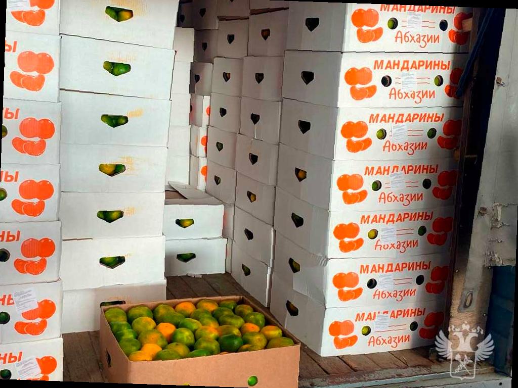 На российско-абхазской границе начался сезон мандаринов