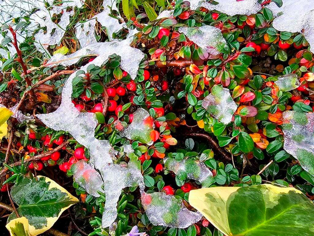 Холодная погода приближается к Сочи