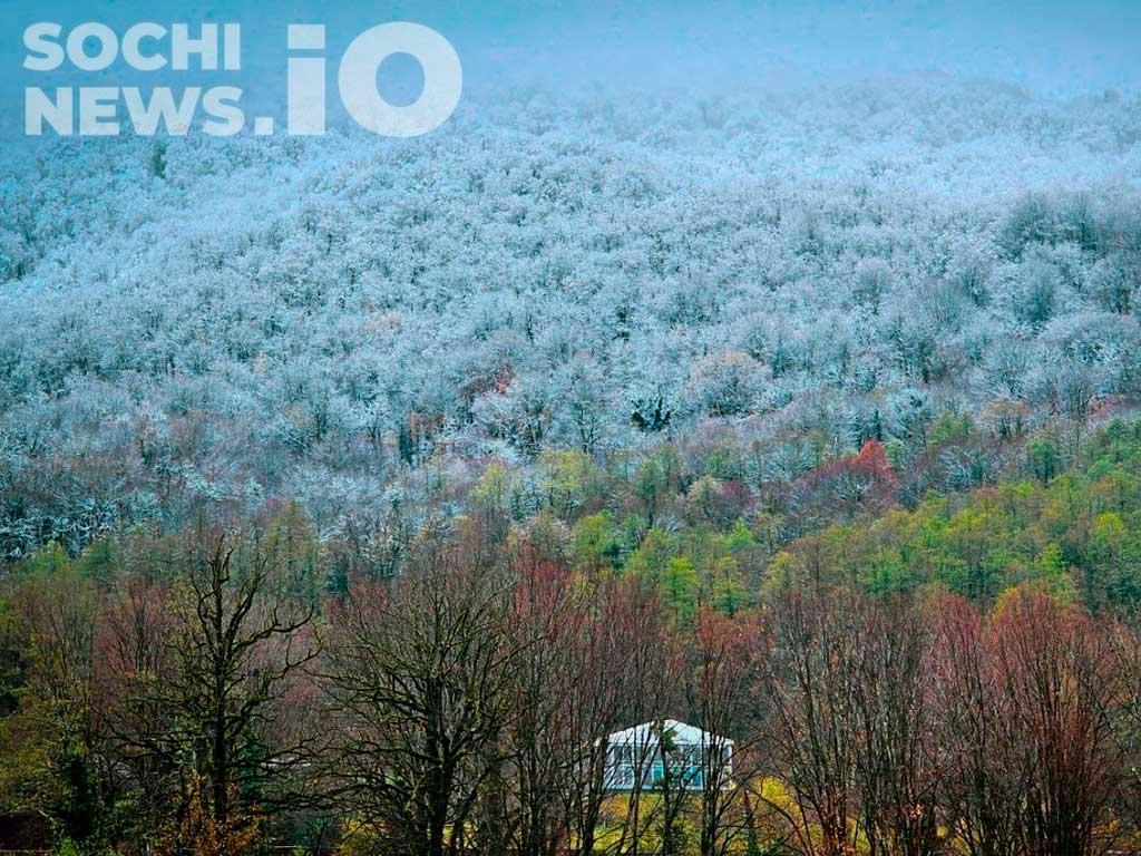 В горах Сочи ожидаются сильные снегопады