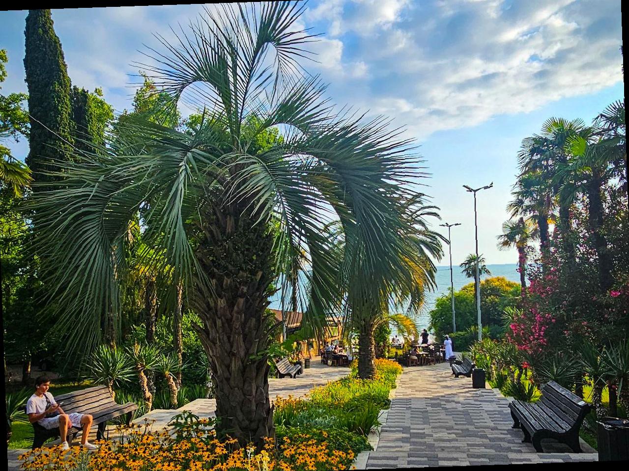 Рекордный турпоток в Сочи: город готовится к новым достижениям в 2025 году