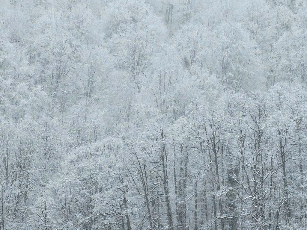 В горах Сочи ожидается сильный снегопад