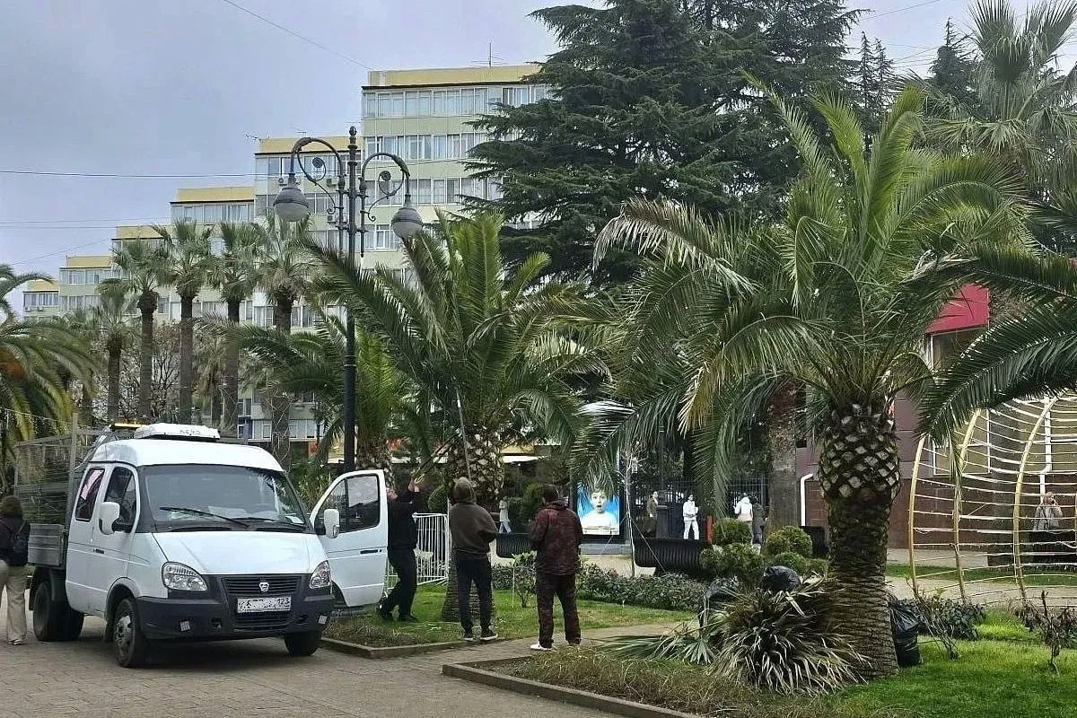 В Сочи начали подготовку пальм к курортному сезону