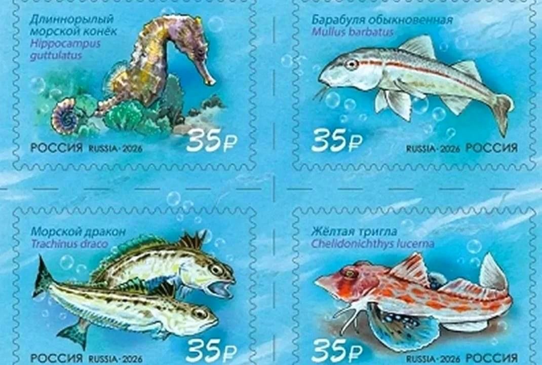 Почта России выпустила серию марок с обитателями Черного моря