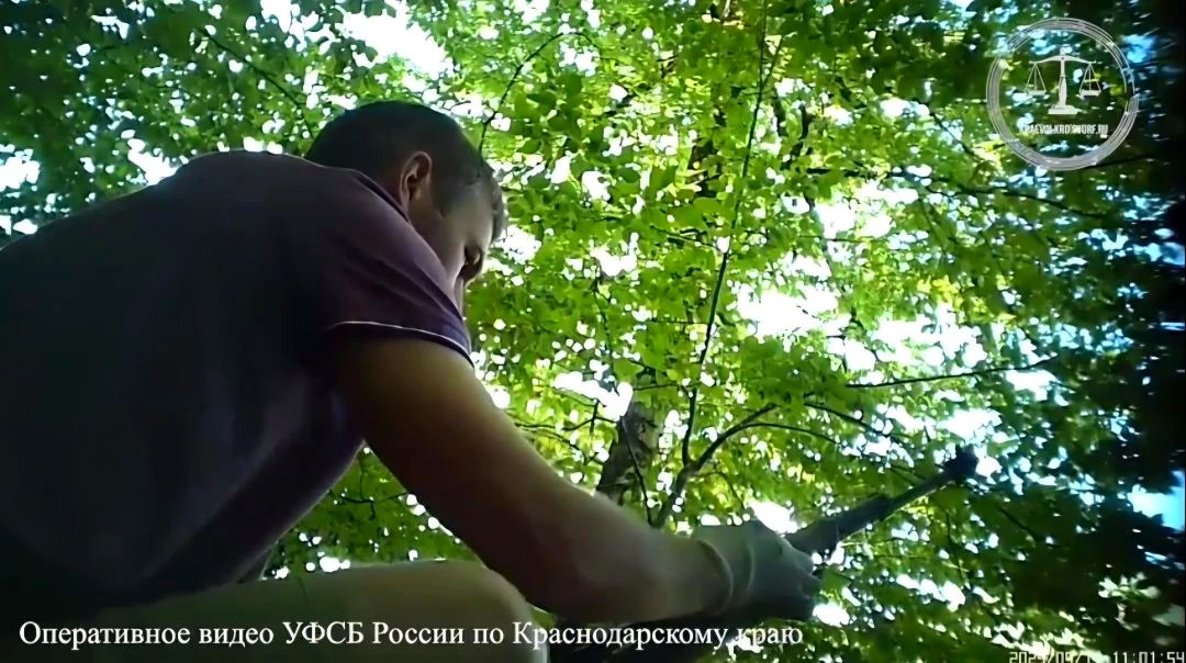 Приговор за хранение и сбыт огнестрельного оружия в Сочи