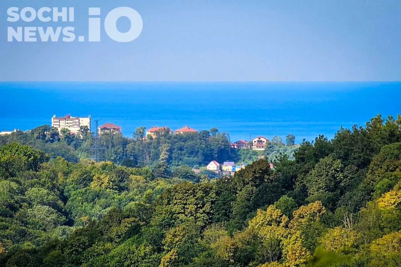 Температура воды в Черном море у Сочи ниже комфортной для купания