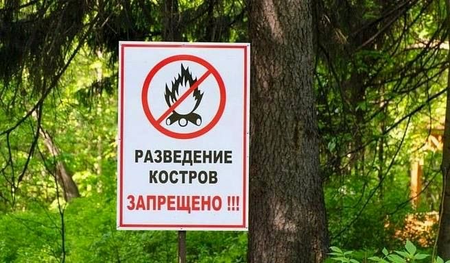 Обработка зелёных насаждений в Сочи от американской белой бабочки