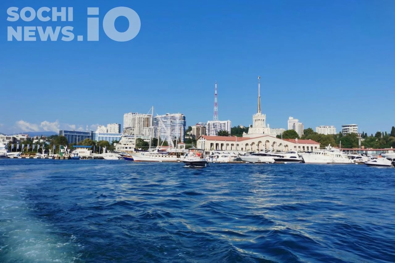 Ситуация с экологией в Сочи стабильна и безопасна для туристов