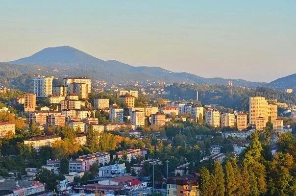 Контроль за торговлей и парковкой в Сочи принес более 23,5 миллионов рублей